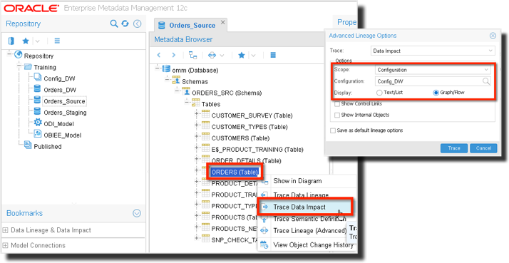 Oracle enterprise metadata management что это