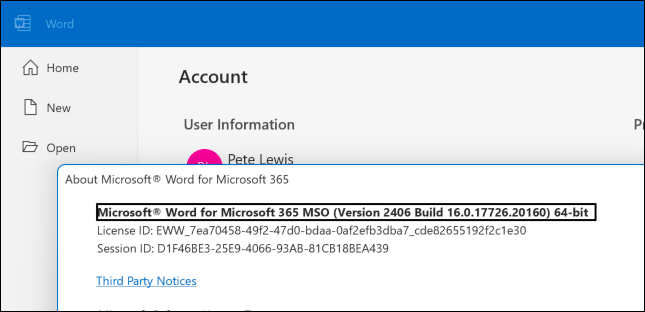 Image of About Word showing the version number.